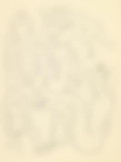 Nymphes et faune * Faune * Prose pour des Esseintes (preview)