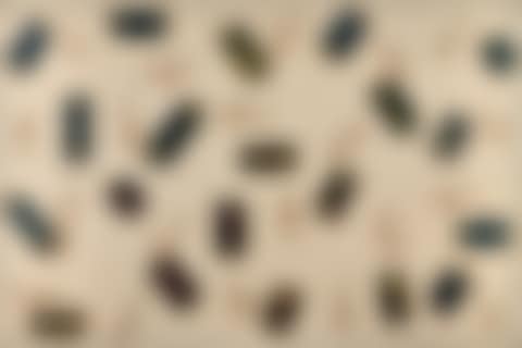 Decomposition (preview)