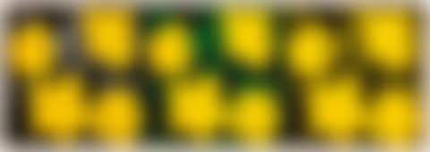 Andy Warhol, "Flowers" (preview)