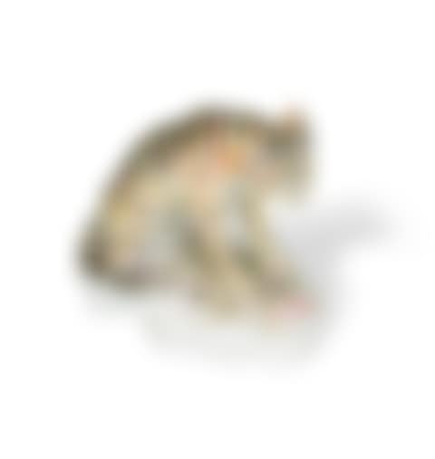 A rare Longton Hall or Vauxhall model of a tiger (preview)