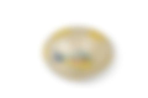 Service Poisson (A.R.6) bowl (preview)