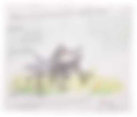 The Donkey and the Darling (preview)
