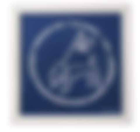 Blue Flag (preview)