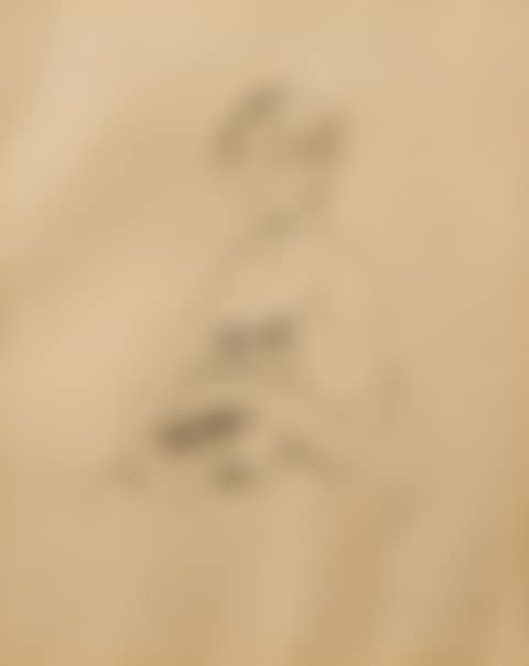Young Girl with a Cat, after a portrait of Julie Manet by Renoir (preview)