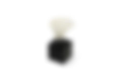 A head fragment of a marble Gunnel Stargazer (preview)