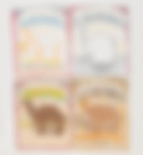 Camel Quartet (preview)