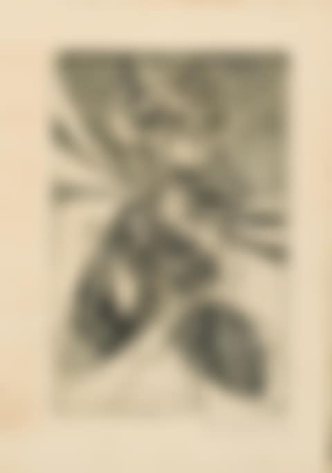 Greeting Card for 1946-47 (preview)