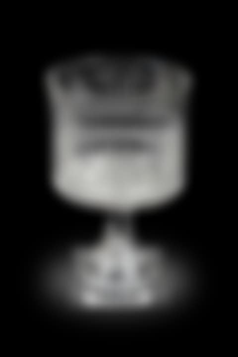 A Sunderland Bridge glass rummer (preview)