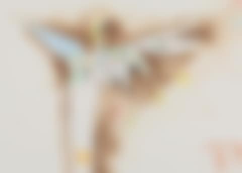 “Med vinger”. With wings (preview)