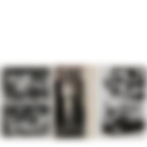 Selected Source Photographs for Andy Warhol"s 1963-64 Silkscreened Paintings of "Jackie" (Kennedy) and "Car Crashes" (preview)