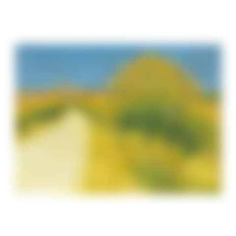 Route aux environs de Cailhau (preview)