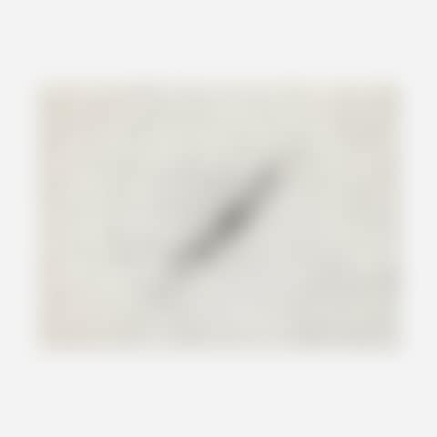 Insect Slant (from the Reality & Paradoxes portfolio) (preview)