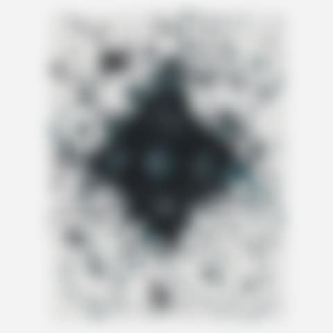Untitled (from the Presidential portfolio) (preview)