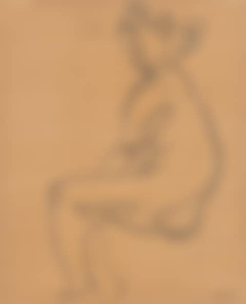 Hockender weiblicher Akt (preview)