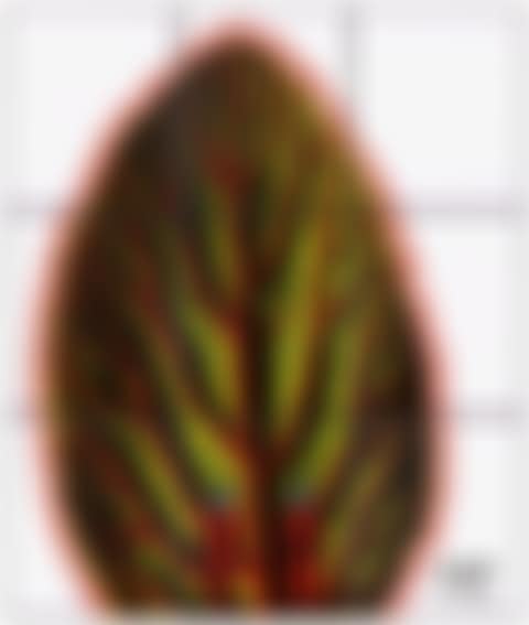 Leaf (preview)