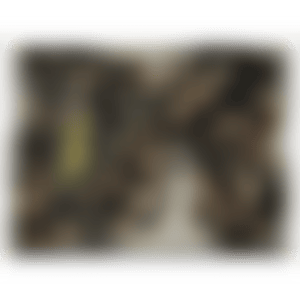 Work (preview)