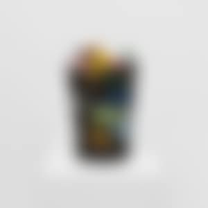 Work 22-C (preview)
