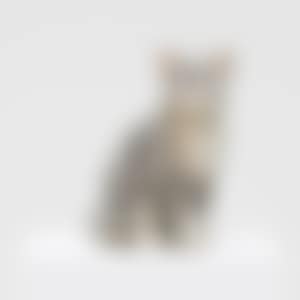 PixCell-Toy-Cat #6 (preview)
