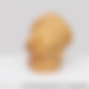 Onion Head (preview)