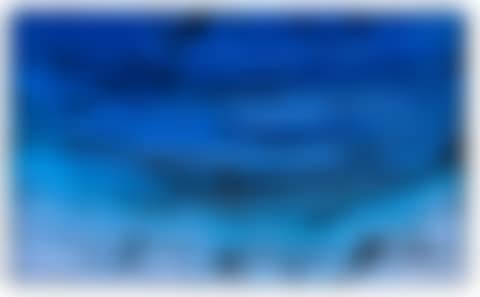 T1980-K17 (preview)