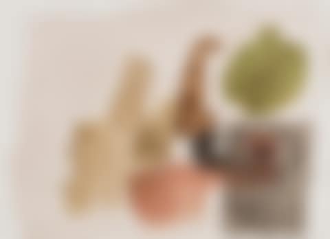 22. Aug. 60 B (preview)