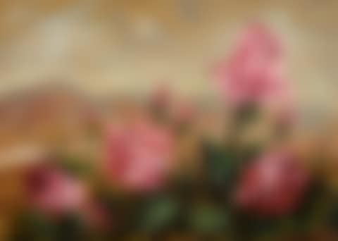 Rose (preview)