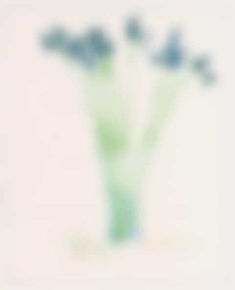 Still Life with Book (Scottish Arts Council 144; Museum of Contemporary Art, Tokyo 135) (preview)