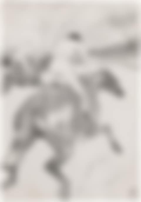 Le Jockey (Delteil 321; Adriani 345; Wittrock 308) (preview)