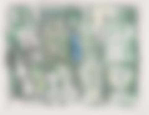 Donne su Fondo Verde (preview)
