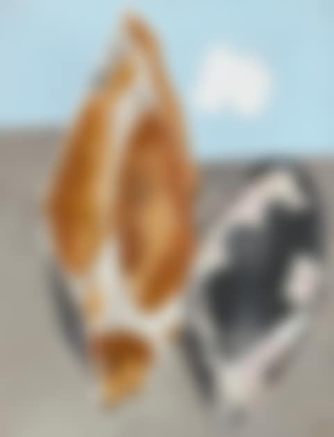 Cloud and Two Stones (preview)