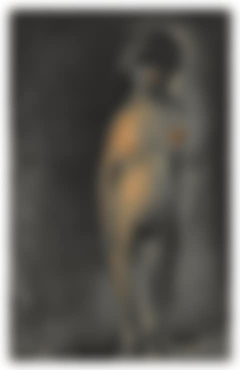 Nu gris de face (preview)