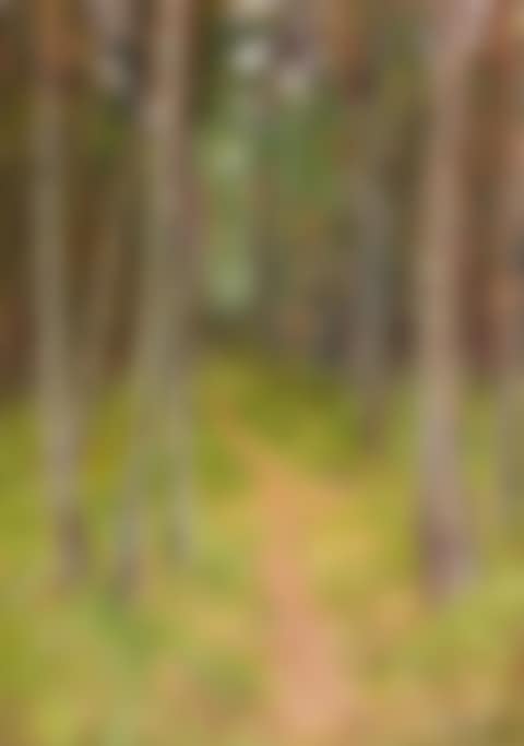 “Skovstammer” (preview)
