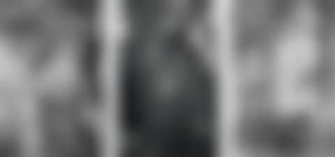 Light Balances (XVII A-C) (preview)