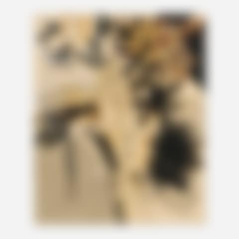 Untitled (preview)