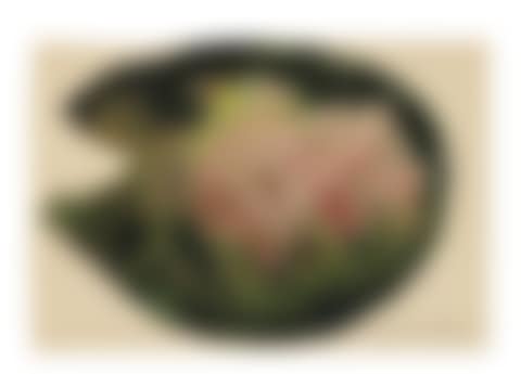 Study of Tropical Foliage (preview)