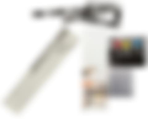 The Fallen Easel (S. 1988.01, H. 37) (preview)