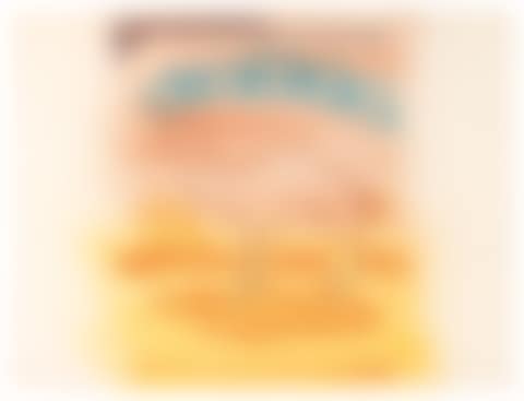 Open Camel (preview)