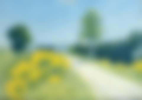 Route de Cailhau (preview)