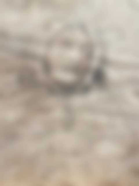 Religious (preview)