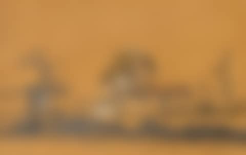 Landscape (preview)