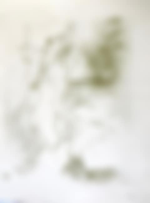 Study of a woman, 1893 (Wittrock 11, Delteil 24) (preview)