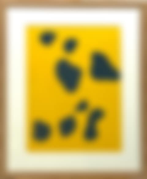 Constellation (preview)