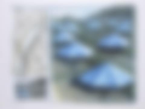 The Umbrellas, Joint project for Japan and USA (preview)