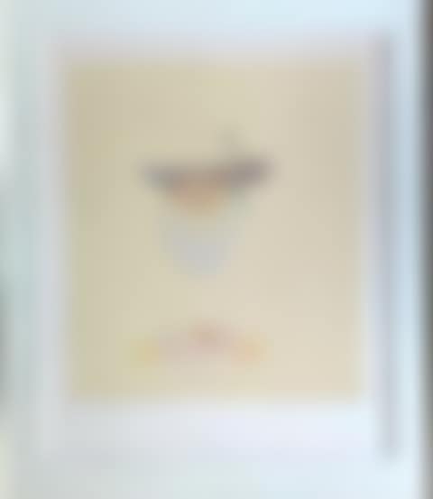 Poem in the sky; Palette de Monet (preview)