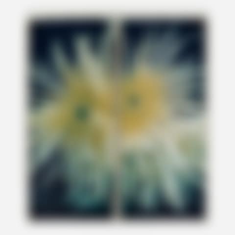 Fuji Mums (preview)