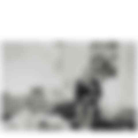Pierre Bonnard in his Studio, Le Cannet, France (preview)