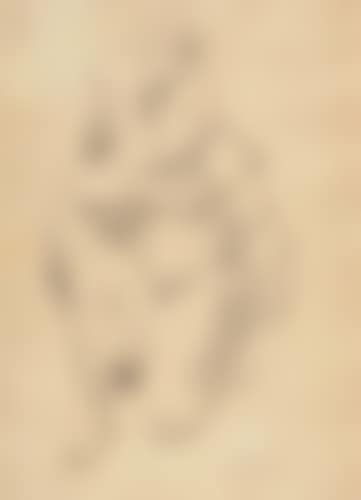 Two Nudes (preview)