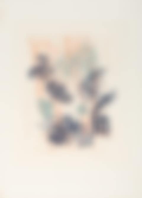 Ohne Titel (preview)