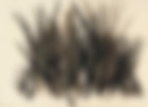 Untitled (preview)