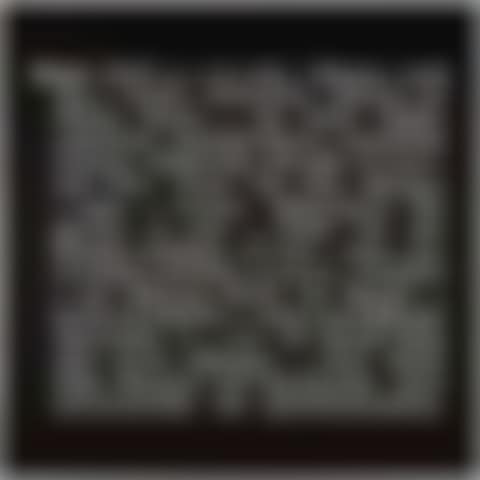 Titled (Art as Idea as Idea) (preview)